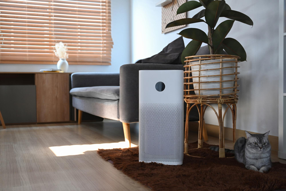 Ways to Improve Air Quality in Your Apartment