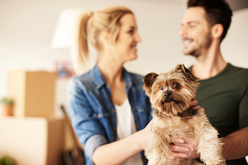 Renting with a Pet: A Guide for Pet Owners