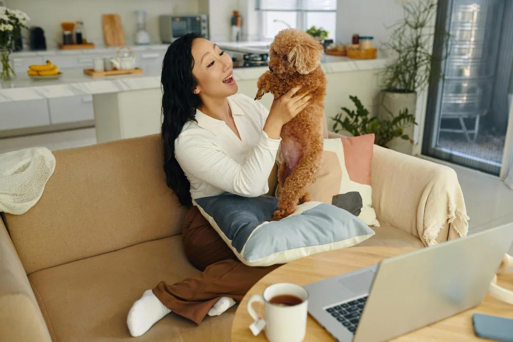 Essential Tips for Bringing Home a New Pet