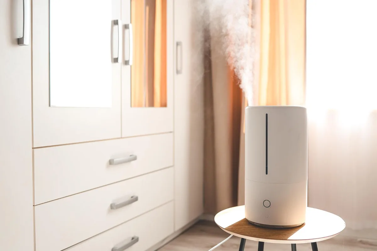 How to Reduce Humidity in Your Apartment